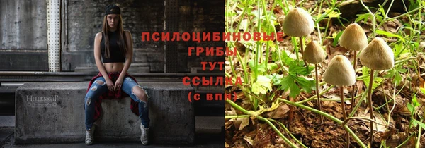 прущая мука Покровск